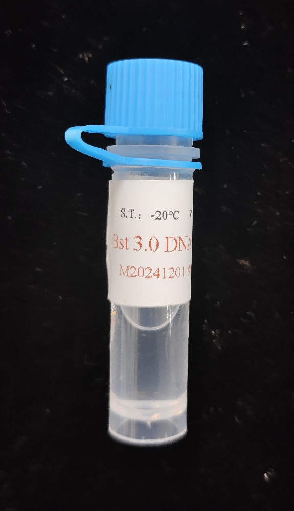 Bst3.0 DNA/RNA聚合酶