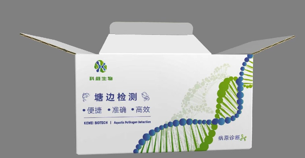 常见食品致病细菌7联POCT检测试剂盒