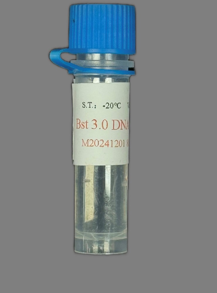 Bst3.0 DNA/RNA聚合酶